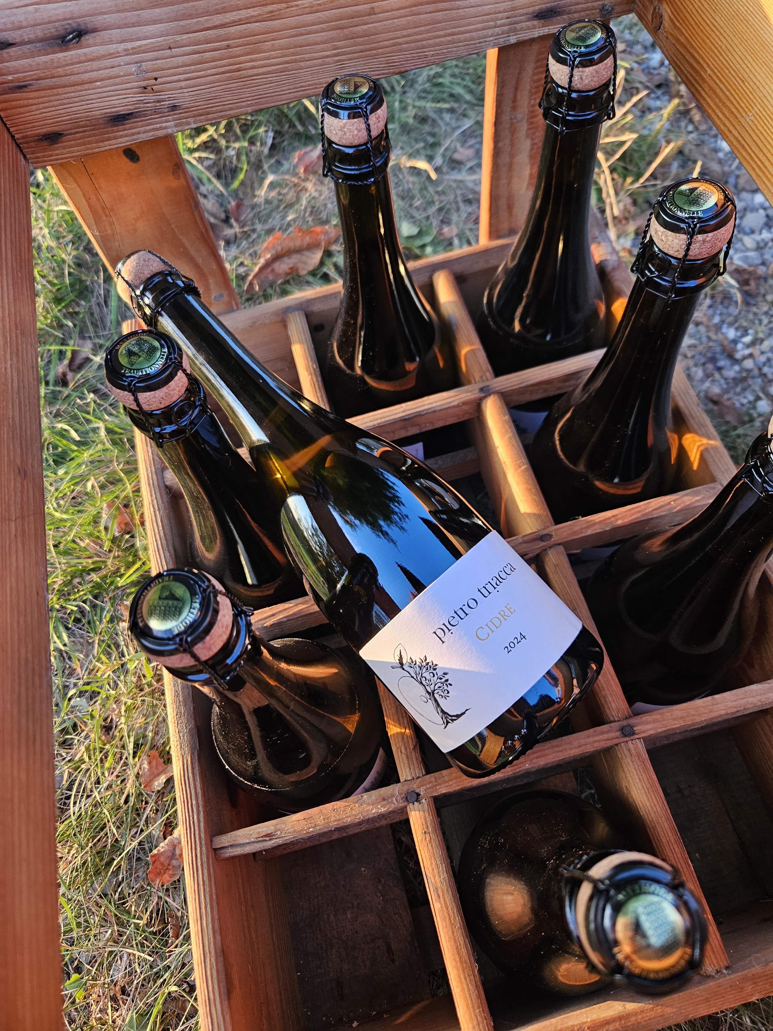 Whats App Image 2025 08 27 at 10 41 54