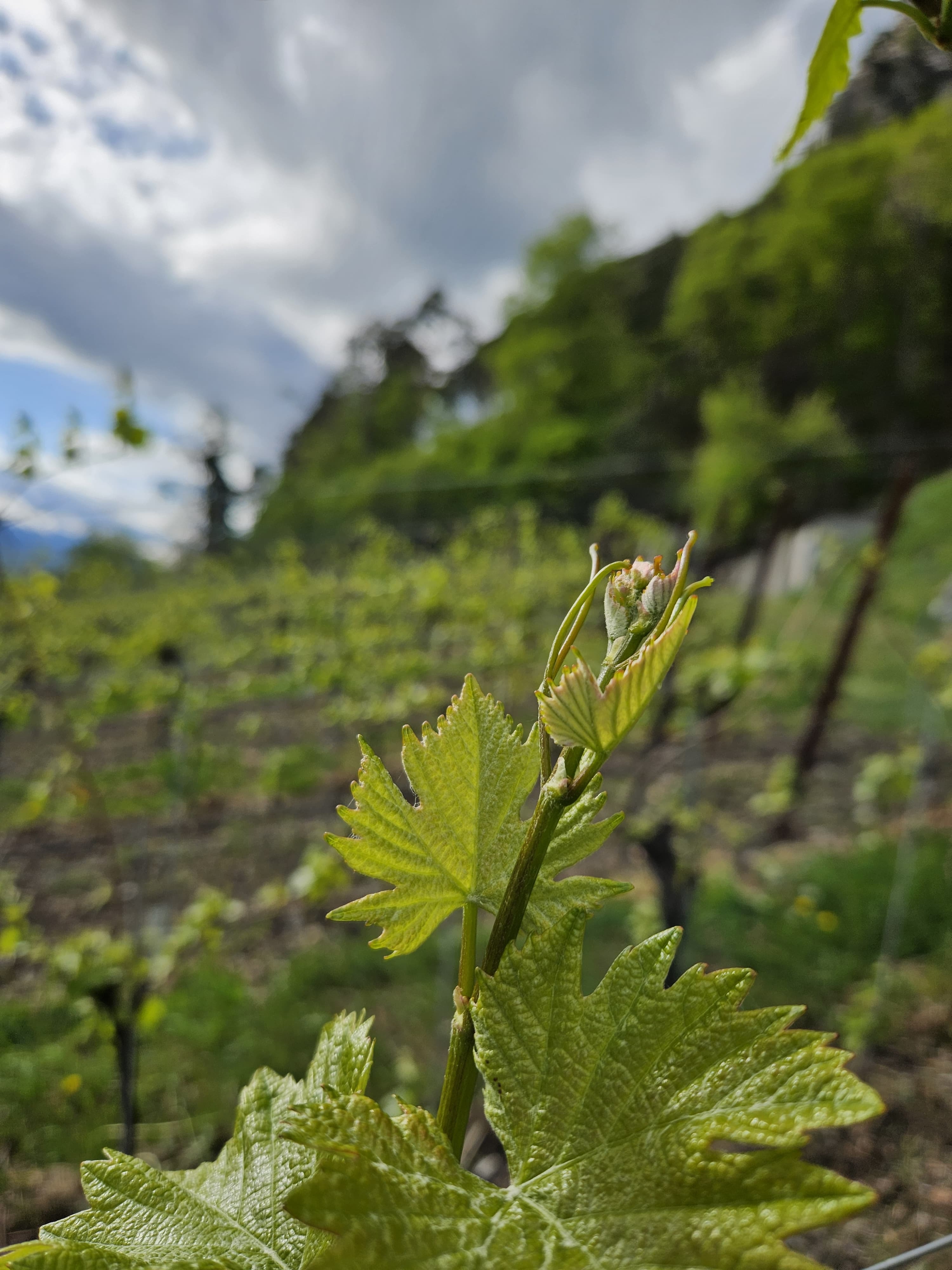 Whats App Image 2025 08 27 at 10 44 56